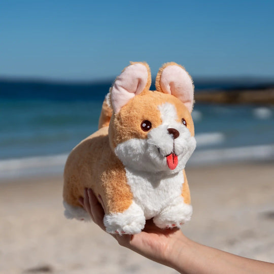 Corgi Plush Toy held in the air at the beach. Based on AussieAntics Dog called Steve. 
