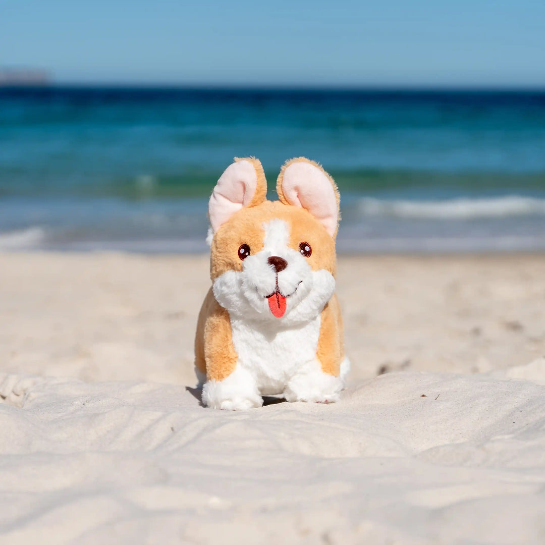 Corgi Plush Toy on the sand at the beach. Based on AussieAntics Dog called Steve. 