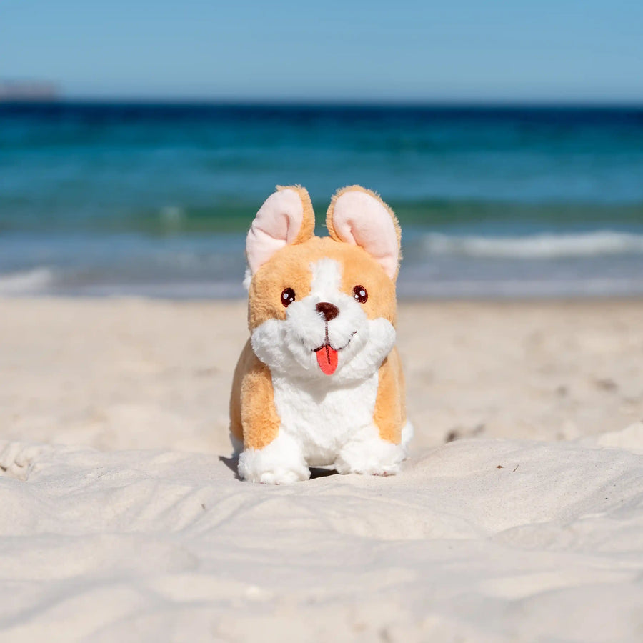 Corgi Plush Toy on the sand at the beach. Based on AussieAntics Dog called Steve. 