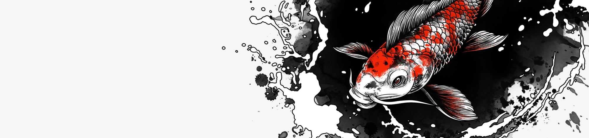 'Serenity' Koi fish illustration with black and white splashes on a dark background