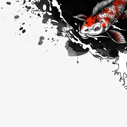 'Serenity' Koi fish illustration with black and white splashes on a dark background